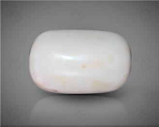 Natural White Coral ( Safed Mooga) Certified 18.83 CTS. ( 91497 )